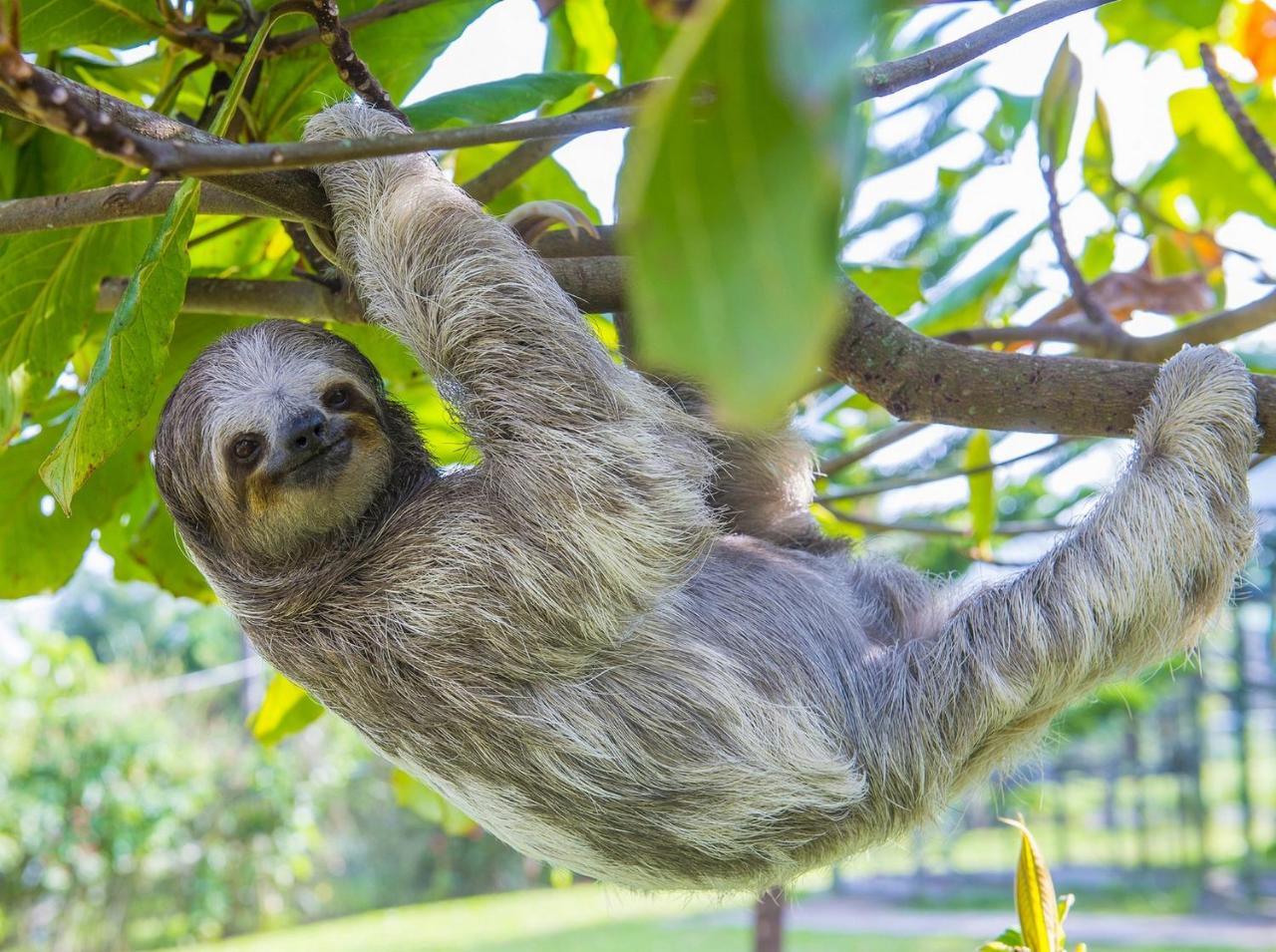 Vida Mountain Resort & Spa Adults Only Сан-Рамон Экстерьер фото